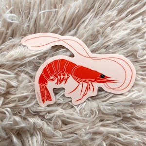 Shrimp Sticker