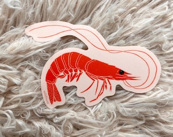 10pcs Shrimp Lover Sticker Pack – Cute Shrimp Sticker, Crustacean ...