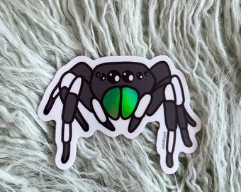 Pegatina holográfica de araña saltadora "Ya Gotta Be Bold"