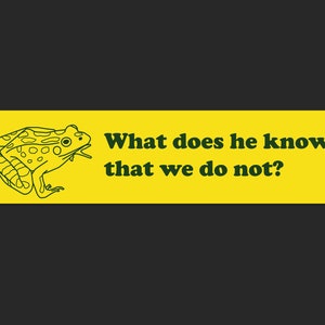 SECONDS- Wise Frog Bumper Sticker - FADING ISSUES
