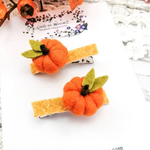 Pumpkin Hair Clips: Set of 2 Halloween Hair Accessories
