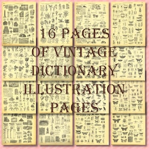 May include: A collage of 16 pages from a vintage dictionary featuring black and white illustrations of various objects, plants, and insects. The pages are yellowed with age and have a textured paper surface.