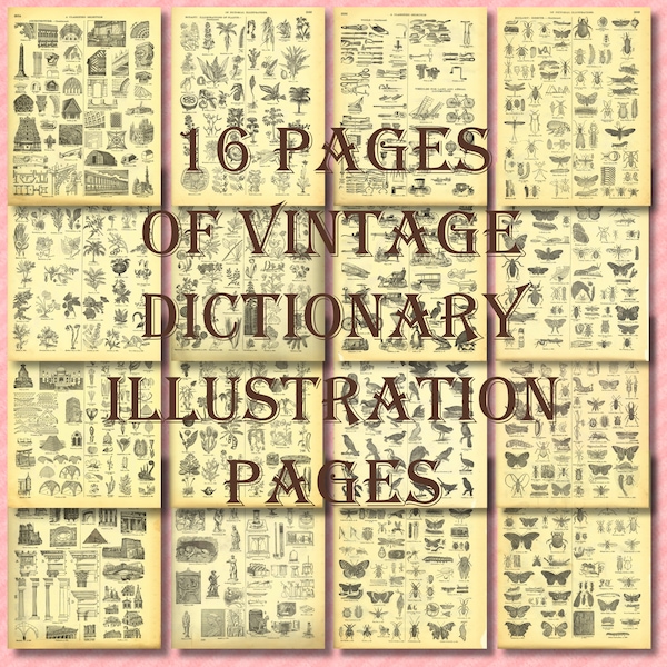 16 Digital Printable Vintage Dictionary Illustration Pages, 8.5" x 11" 4 Junk Journals, Scrapbooking, Card Making, Paper Crafts, Multi-Media