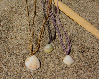 Shell pendant, seashell pendant, shell necklace, shell jewelry, seashell jewelry, surf jewelry, summer jewelry, funny jewelry, summer jewel