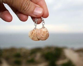Coma earrings, shell earrings, beach earrings, surf earrings, sea earrings, marine jewelry, ibizastyle, boho earrings, hippie surf earrings