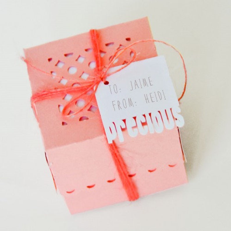 Boxes Included in Multiple File Types SVG PDF AI for Cricut and Silhouette Machines 12 Gift Boxes Digital Cut Files for Cutting Machines