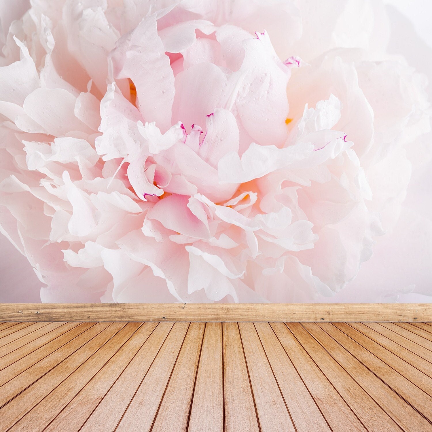 Peony Pink Temporary or Traditional Wall Mural | Wallcovering Close up ...