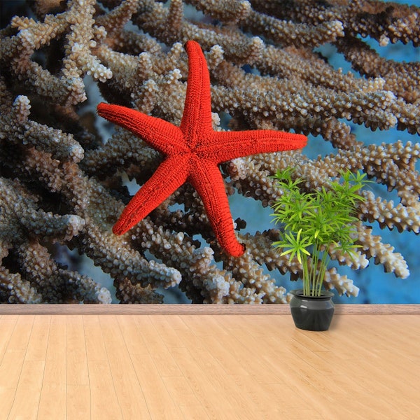 Starfish Reef repositionierbares Wandbild | Tapete mit Seestern auf koralle traditionellem Schä und Stockvlies Wandbehang nicht abnehmbar