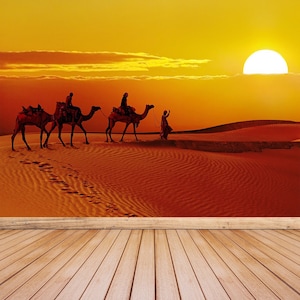 Cammelli Deserto rimovibile o tradizionale foto murale / carta da parati Bellissimo tramonto con sagome di cammelli nelle dune nel deserto,