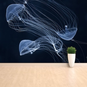 Puede incluir: Tres medusas translúcidas con largos tentáculos flotantes sobre un fondo azul oscuro. Las medusas son blancas y tienen una apariencia delicada y etérea.
