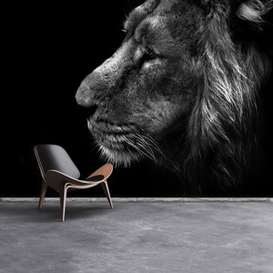 Animal Lion peel and stick or classic glue wall mural | wallcovering A majestic male lion taking a stroll  wall covering wall art