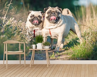 Papel pintado fotográfico autoadhesivo o papel pintado de perro Pug Dos perros Pug en el paseo en verano gran mural de naturaleza diseño papel pintado fotomural