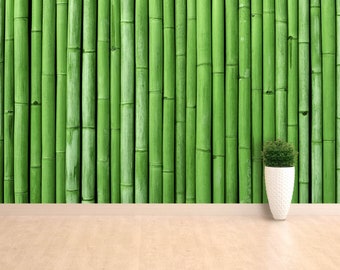 Può includere: Un muro di bambù verde con una piccola pianta in vaso davanti. La pianta è in un vaso di ceramica bianca. Il muro è fatto di molti steli di bambù verticali.