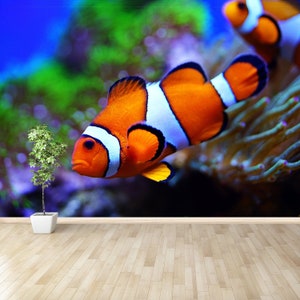 Carta da parati temporanea o tradizionale con pesci pagliaccio / murale con pesci pagliaccio e anemoni in acquario di barriera, riutilizzabile, non tessuto, temporaneo, natura, grande