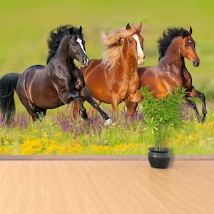 Horses vlies or self-adhesive photo wallpaper | wallcovering Horses run gallop in flower meadow  nonwoven nature vlies mural traditional