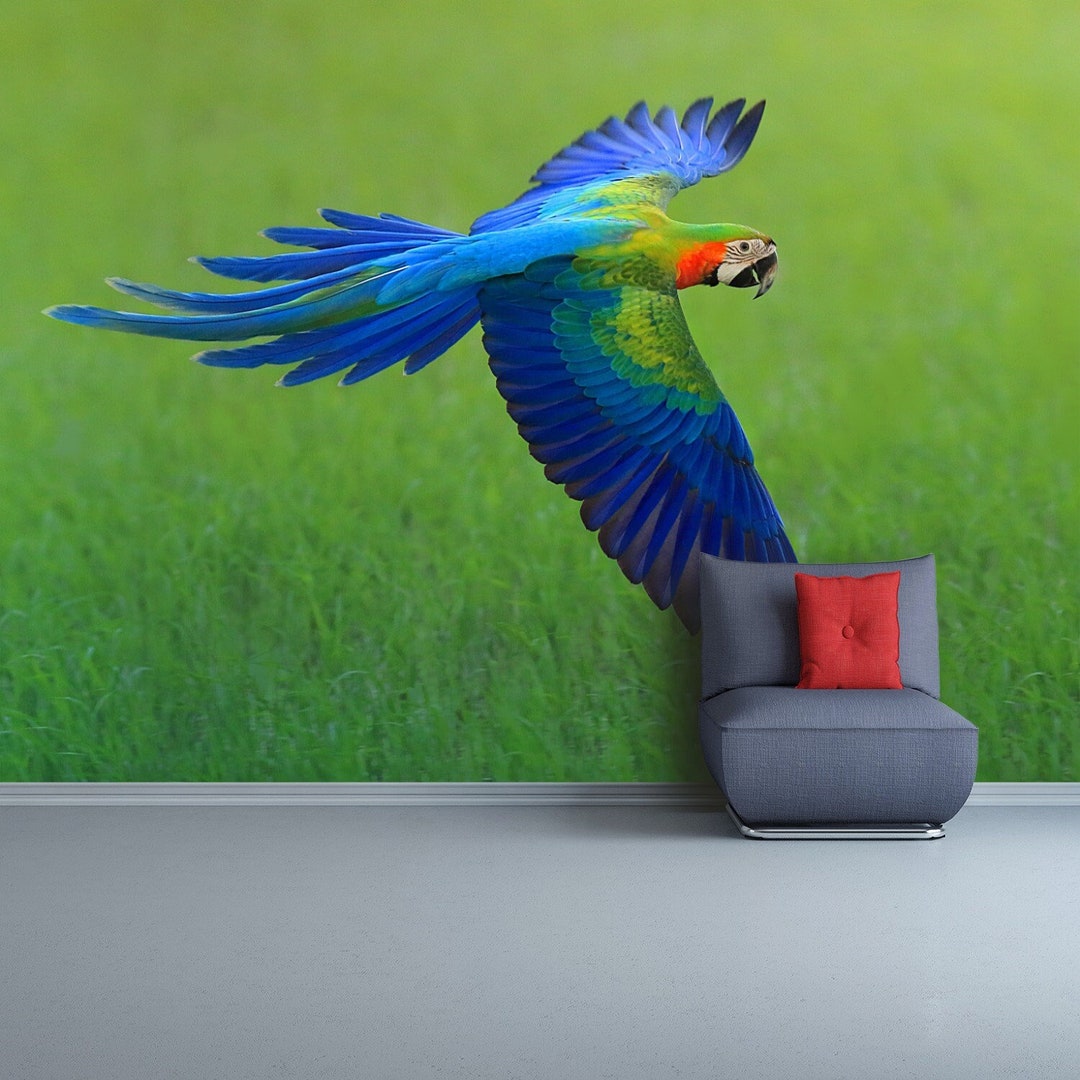 Macaw Bird Temporary or Traditional Mural | Wallpaper Flying Macaw ... - Macaw Bird Stand Rugs Mats