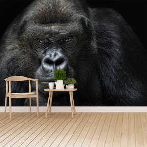 Gorilla Ape vlies or self-adhesive photo mural | wallpaper gorilla  nonwoven removable repositonable traditional photomural wall covering