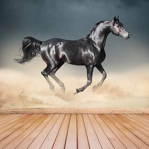 Carta da parati murale o non tessuta staccabile e adesiva con cavallo arabo / murale cavallo arabo che corre nel deserto, rivestimento murale, carta da parati fotografica temporanea non tessuta