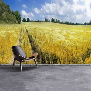May include: A black leather chair with wooden legs sits in front of a field of golden wheat. The field is under a blue sky with white clouds.