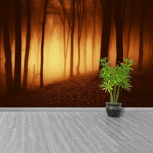 Scary forest repositionable wall mural | wallpaper surreal scary forest dark background  photowallpaper vinyl large temporary wallmural
