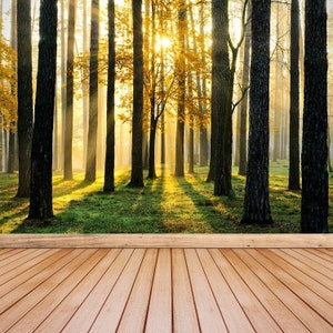 Op de afbeelding: Een schilderachtig beeld van een bos met hoge bomen en zonlicht dat door de takken schijnt. De grond is bedekt met groen gras en bladeren. De afbeelding is perfect voor een natuurthema-achtergrond of behang.