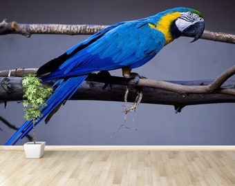 Blue Ara Parrot peel&stick or non-woven mural | wallpaper large blue Ara parrot  traditional mural peel and stick self adhesive large wall