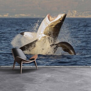 Squalo bianco tradizionale o rimozione foto murale / carta da parati Grande squalo bianco (Carcharodon carcharias) che salta fuori durante un attacco a una foca,
