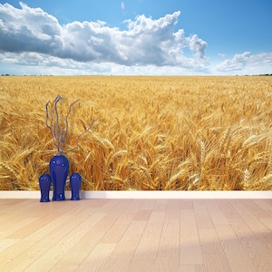 Tarweveld zelfklevend of plakken en lijm fotomuurschildering | behang Weide van tarwe. Samenstelling van de natuur. behang grote vliesfoto