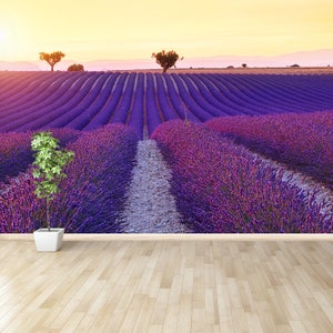 Lavender fields temporary or traditional photo wallpaper | mural Beautiful colors purple lavender fields near Valensole, Provence in
