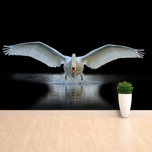 Swan Bird reusable or traditional mural | wallpaper Swan with open wings, a unique moment, spring courtship  peel and stick traditional