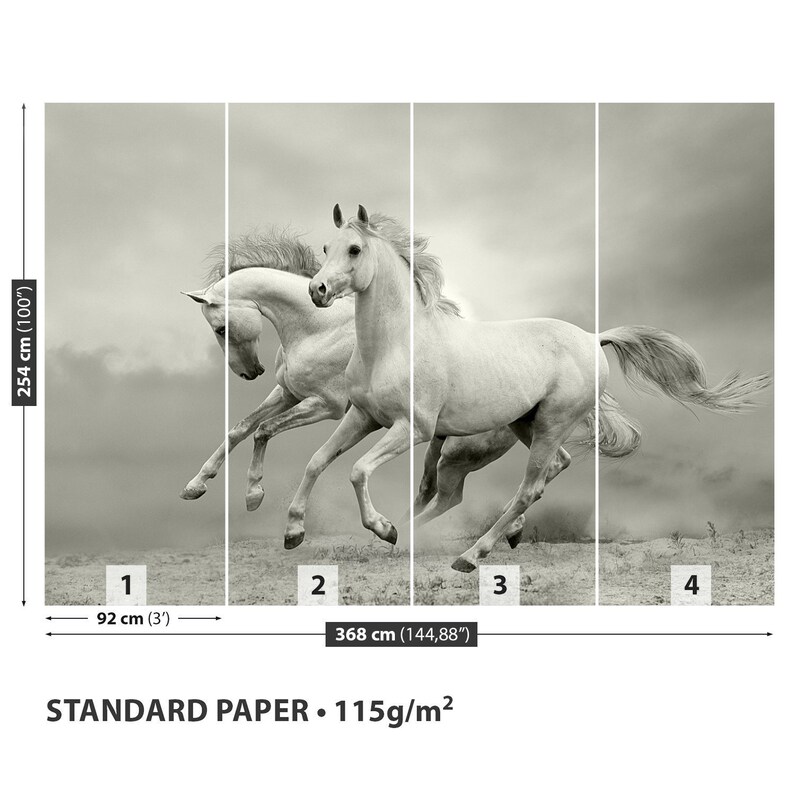 Horses Animals Repositionable Photo Wall Mural | Wallpaper Horses in ...