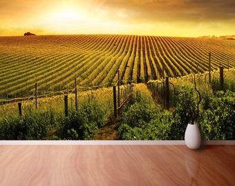 Sunset Vineyard reusable or traditional photo mural | wallpaper A Beautiful Sunset over a Barossa Vineyard  peel and stick repositonable