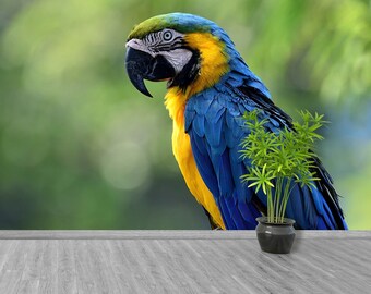 Macaw Parrot peel&stick or non-woven wall mural | wallcovering Lonely Blue-and-yellow macaw (Ara ararauna), the beautiful blue parrot bird