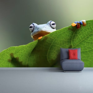 Könnte beinhalten: Ein grüner Frosch mit blauen Augen schaut hinter einem großen grünen Blatt hervor. Der Frosch schaut direkt in die Kamera.