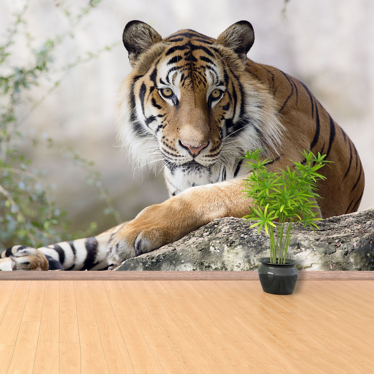 Photographic Wallpaper Vlies Tiger Vinyl Wall Snowy Pines | Fotomurales Decorative | Photographic Wall | Mural |vinilo Decorative 150 X 100 Cm - View #2