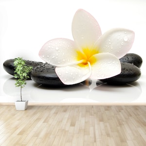 Plumeria Stones reusable or traditional photo wall mural | wallpaper  zen stones with frangipani flower  wallpaper traditional peel and