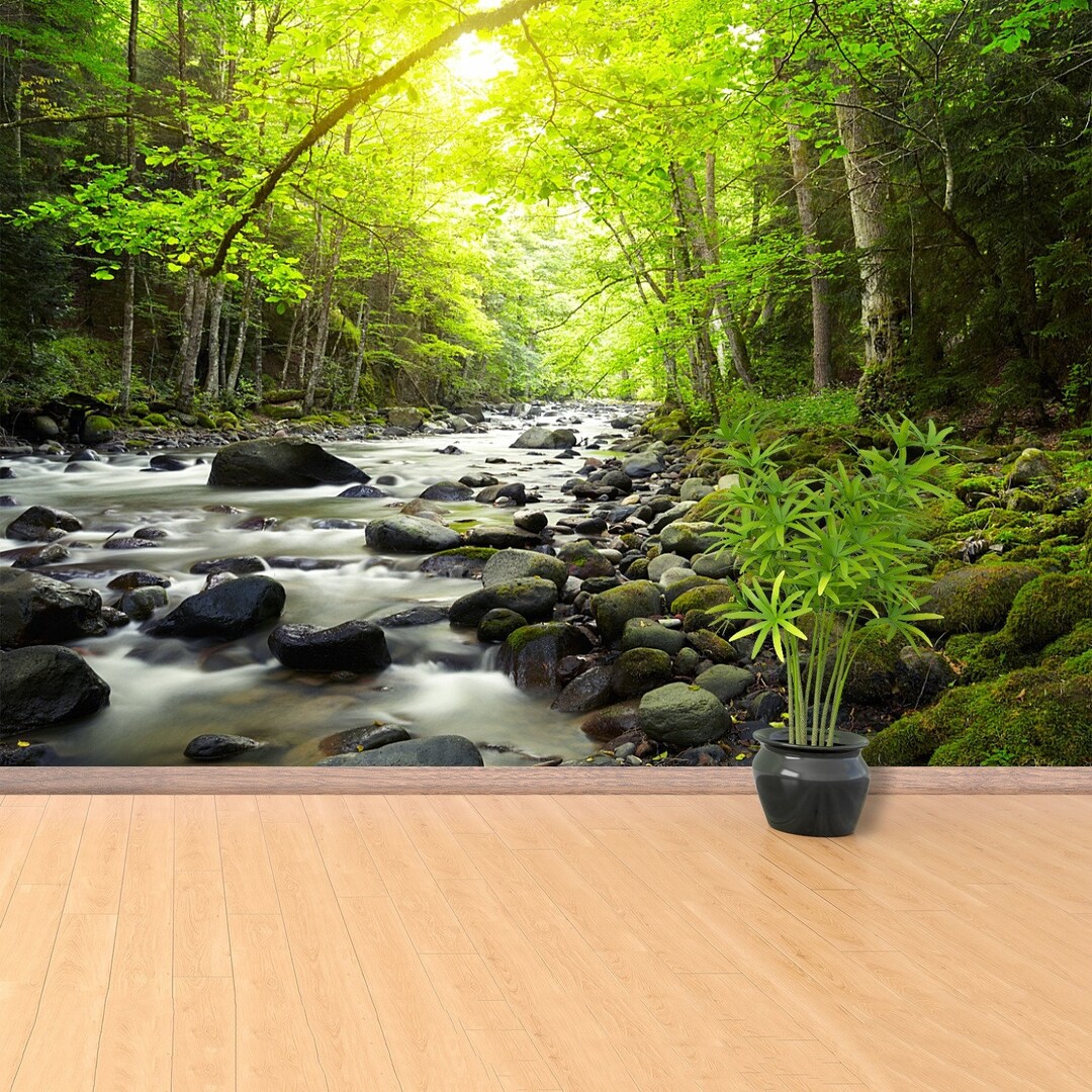 Mountain River Repositionable Photo Mural | Wallpaper Mountain River in ...