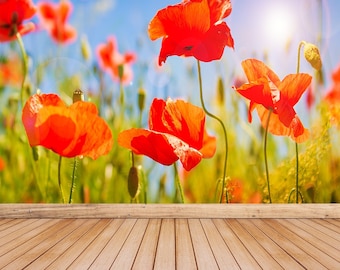 Poppies Red removable or traditional photo wall mural | wallpaper Poppy flowers field. Nature spring background with blooming poppies over.