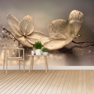 Hydrangea Beige adhesivie or traditional mural | wallcovering Artistic Dry Hydrangea paniculata (Panicle hydrangea) with sparkle  wall