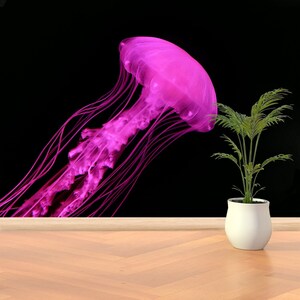 Pink jellyfish removable or traditional wallpaper | mural Beautiful pink jellyfish isolated on black background  wall decor reusable mural