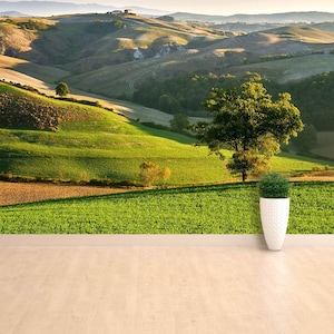 Tuscany adhesivie or traditional photo wall mural | wallpaper Tuscany - Landscape panorama, hills and meadow, Toscana, Pienza - Italy