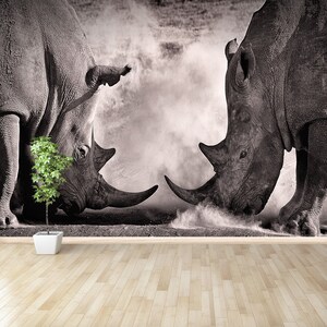 Two white rhinos removable or traditional mural | wallpaper battle a confrontation between two white rhino in the African savannah on the