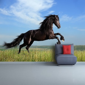 Animal Horse removable or traditional mural | wallpaper beautiful black horse playing on the field  photomural mural reusable design large