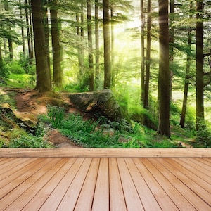 Misty forest peel and stick or classic glue photo wallpaper | wall mural Sun rays illuminating a misty forest scenery with fresh and vibrant