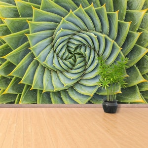 Aloe Symmetry adesivo o tradizionale murale / carta da parati Aloe Polyphylla design riposizionabile vinile decorazione murale grande tradizionale non tessuto
