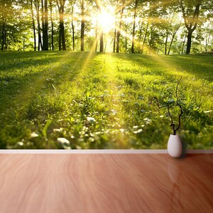May include: A white ceramic vase with a thin, brown twig-like branch inside. The vase is sitting on a wooden floor. The background is a blurry image of a sunny forest with green grass and trees.