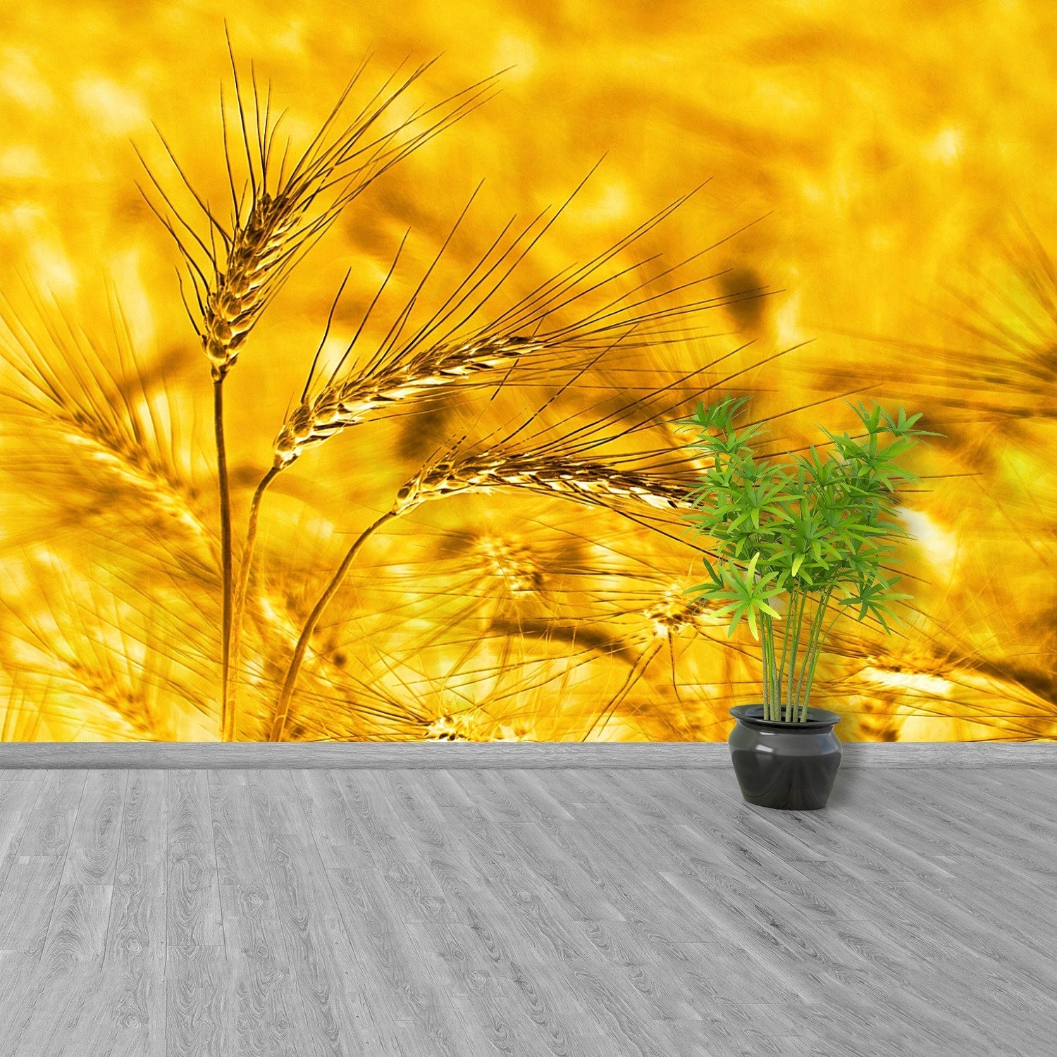 Wheat on a Field · Free Stock Photo, image size:1500x1500