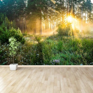 Wald schale&stick oder vlies wandbild | Tapete Wald Sonnenlicht durch Bäume Landschaft Vlies Tapete repositionierbar und abnehmbar