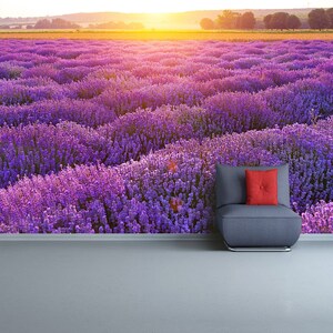 Lavendelfeld Peel&Stick oder Vlies Wandbild | Tapete Lavendelfeld bei Sonnenuntergang. Heller abstrakter Hintergrund, ideal für jedes Design.