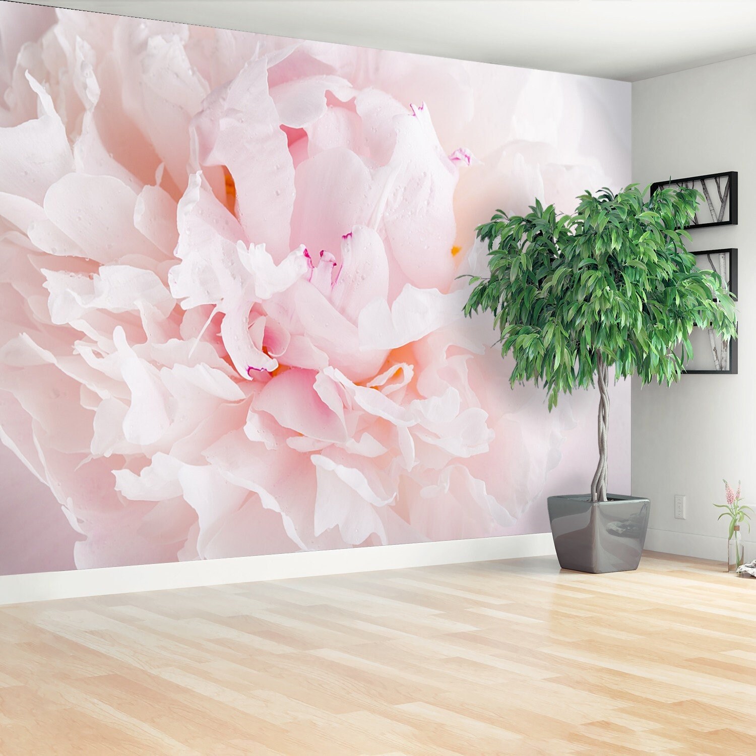 Peony Pink Temporary or Traditional Wall Mural | Wallcovering Close up ...